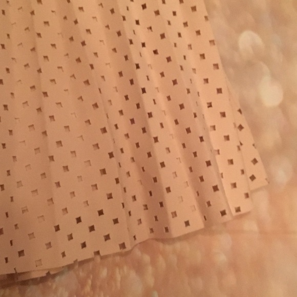 J Crew Laser Cut Diamond Blush Pleated Skirt Sz 2 - Picture 5 of 8